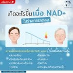 เกิดอะไรขึ้นเมื่อ NAD+ ในร่างกายลดลง