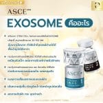 Exosome คืออะไร?