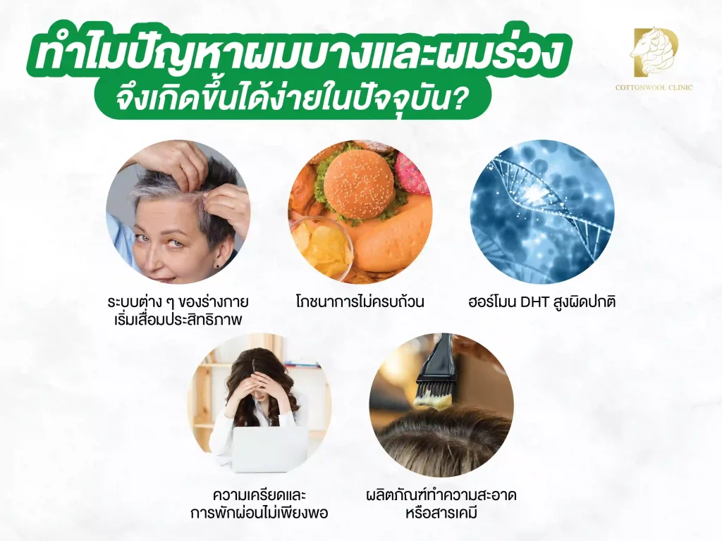 ทำไมปัญหาผมบางและผมร่วงจึงเกิดขึ้นได้ง่ายในปัจจุบัน