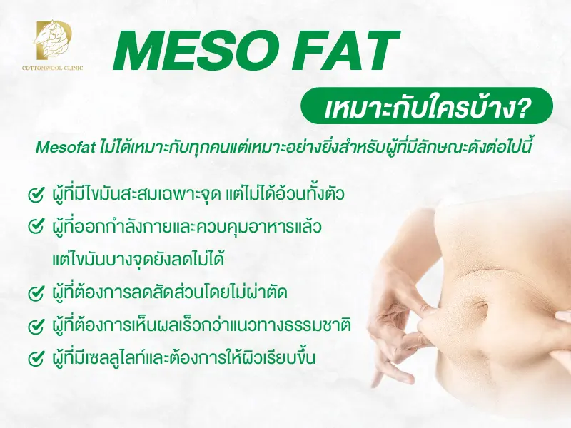 Mesofat เหมาะกับผู้ที่มีไขมันสะสมเฉพาะจุด เช่น แก้ม เหนียง ต้นแขน หรือหน้าท้อง และต้องการลดสัดส่วนโดยไม่ผ่าตัด เหมาะกับผู้ที่มีน้ำหนักคงที่และต้องการปรับรูปหน้า หรือกระชับสัดส่วนเฉพาะบริเวณ