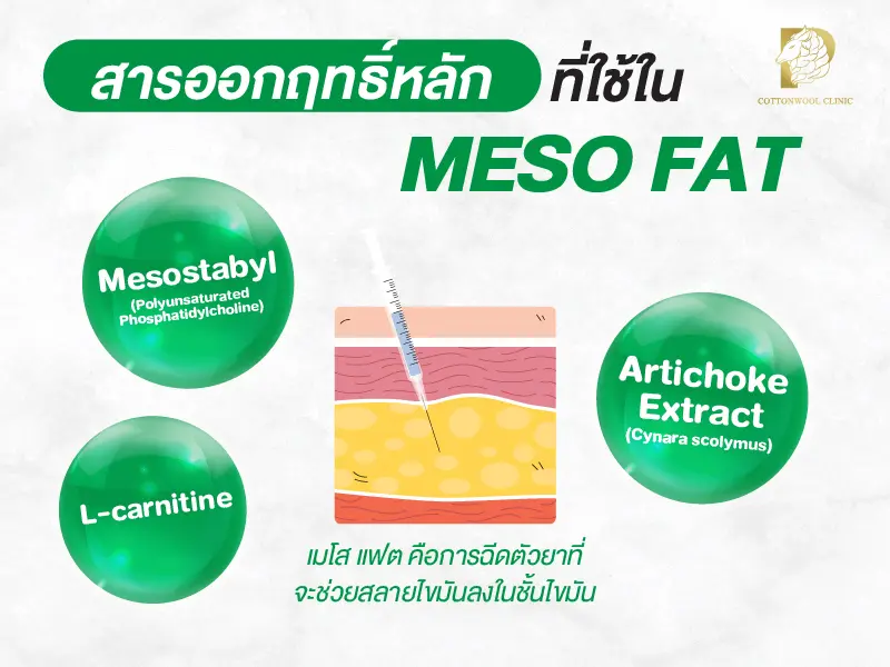 สารออกฤทธิ์หลักที่ใช้ใน Mesofat คือ สารกลุ่มสลายไขมัน เช่น Phosphatidylcholine (PPC) และ Deoxycholic Acid (DC) ที่ช่วยทำลายผนังเซลล์ไขมันให้แตกตัวและถูกกำจัดออกจากร่างกาย